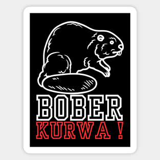 bober kurwa Magnet